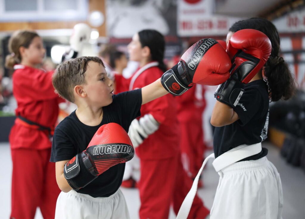 artes marciales rubi